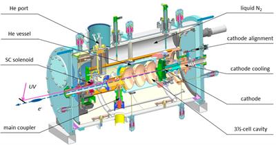 Superconducting radio frequency photoinjectors for CW-XFEL